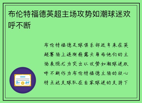 布伦特福德英超主场攻势如潮球迷欢呼不断